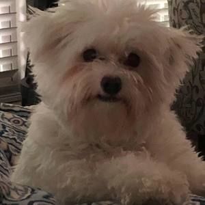 Meet your Posher, Cynthia